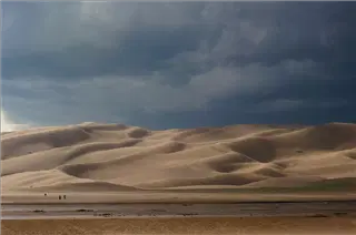 small_fff- Dunes.webp